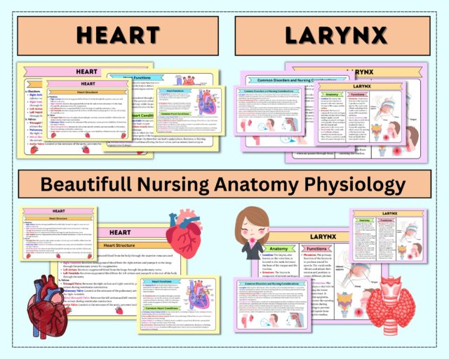 Anatomy & Physiology Flashcards | 49 Topics or 101+Pages | Nursing School Notes | Anatomy Study Guide | Instant Download PDF | Medical Note - Image 2