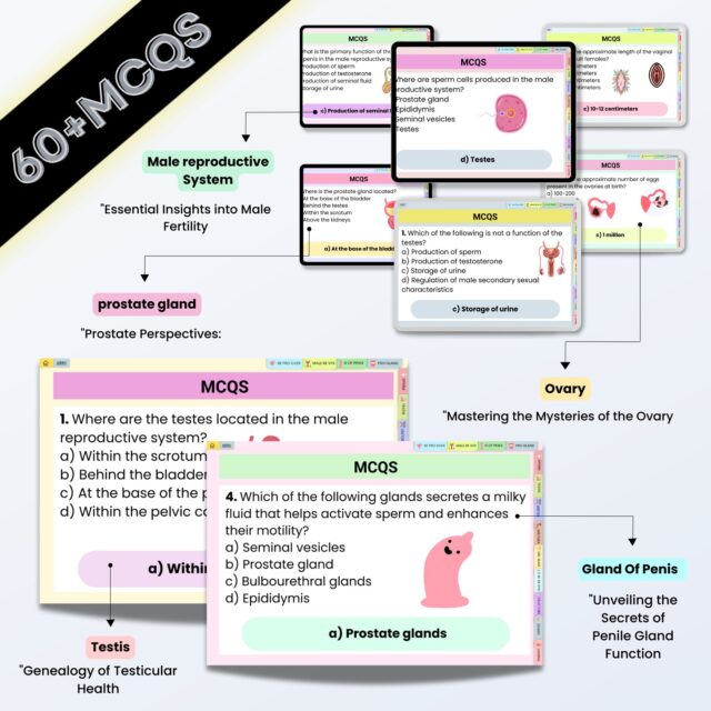 Reproductive System Flashcards Fully Hyperlinked | Human Anatomy | Free Cover Pages | Female Reproductive | Instant Download | Nursing Notes - Image 4
