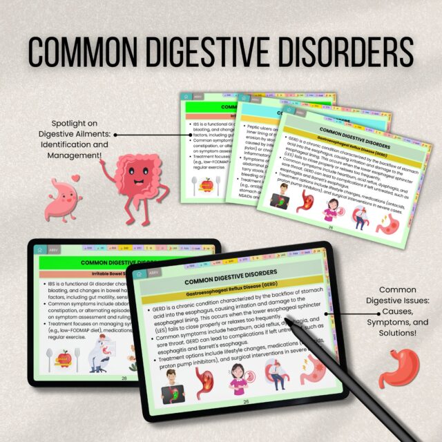 Digestive System Flashcards Bundle or Quiz with Hyperlinked | Human Body Flashcards | Nursing Study Guide | Instant Download | Note Taking - Image 5