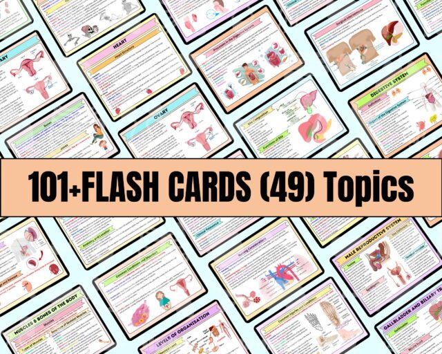 Anatomy & Physiology Flashcards | 49 Topics or 101+Pages | Nursing School Notes | Anatomy Study Guide | Instant Download PDF | Medical Note - Image 3