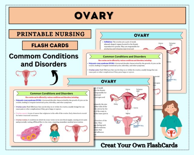 Anatomy & Physiology Flashcards | 49 Topics or 101+Pages | Nursing School Notes | Anatomy Study Guide | Instant Download PDF | Medical Note - Image 4