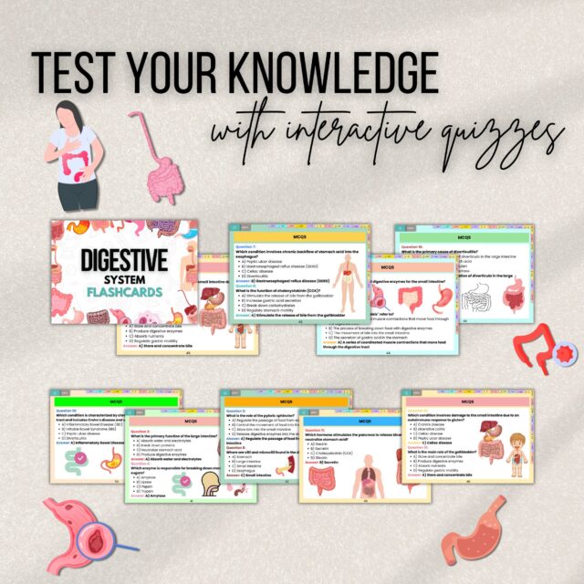 Digestive System Flashcards Bundle or Quiz with Hyperlinked | Human Body Flashcards | Nursing Study Guide | Instant Download | Note Taking - Image 7