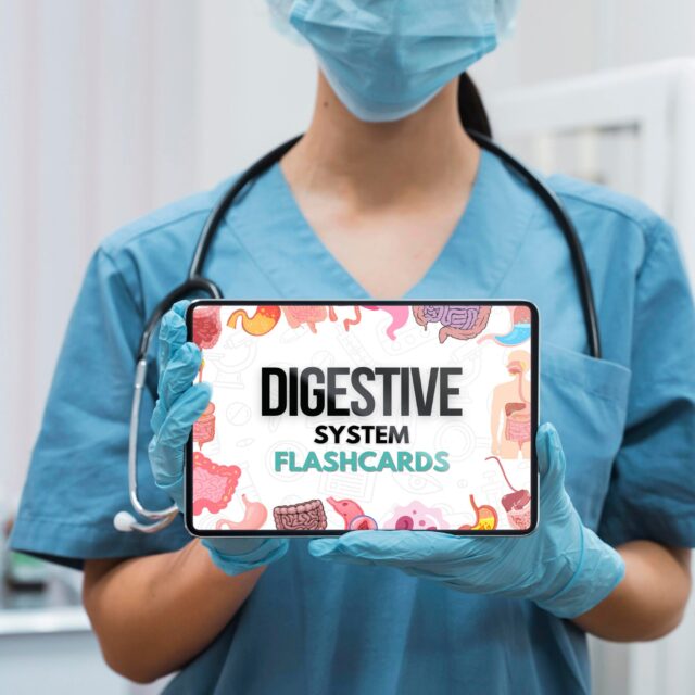 Digestive System Flashcards Bundle or Quiz with Hyperlinked | Human Body Flashcards | Nursing Study Guide | Instant Download | Note Taking - Image 8