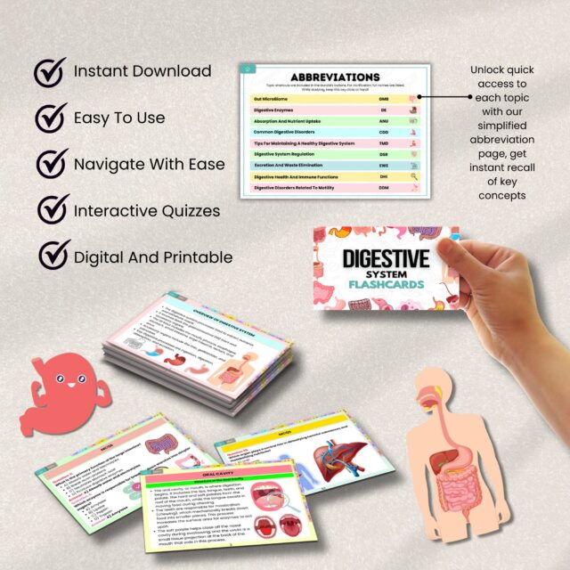 Digestive System Flashcards Bundle or Quiz with Hyperlinked | Human Body Flashcards | Nursing Study Guide | Instant Download | Note Taking - Image 9