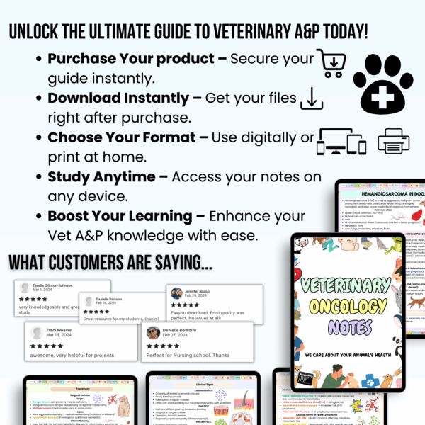 Veterinary Oncology Notes Hyperlinked Bundle, UPDATED 2025-26, Bonus Stickers Quizzes and Covers, Veterinary Education, Veterinary Medicine - Image 4
