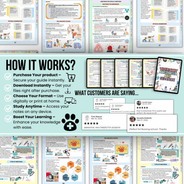Anesthesia and Sedation Notes Hyperlinked, Vet Med Study Guide, UPDATED 2025-26, Anesthesia for Vet, Free Quizz Stickers & Cover - Image 4