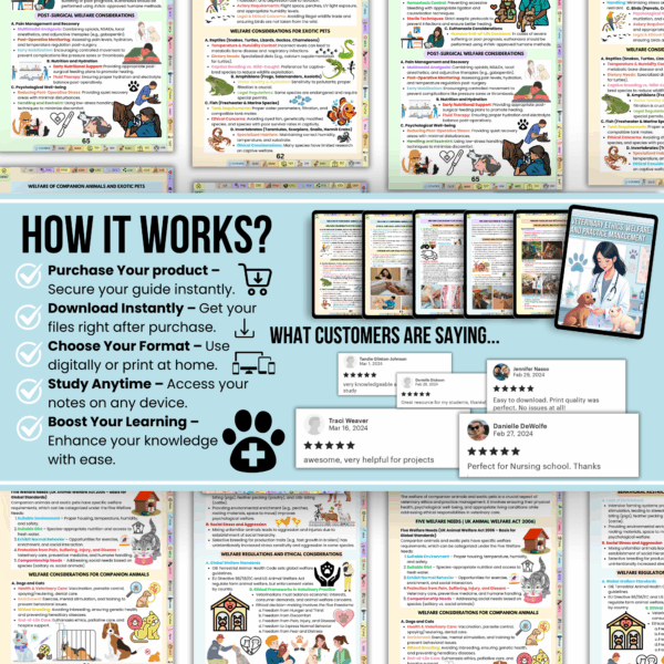 Veterinary Ethics,Welfare & Practice Management Notes, Vet Practice Management, Animal Study Notes, Veterinary Printable, Digital Download - Image 5