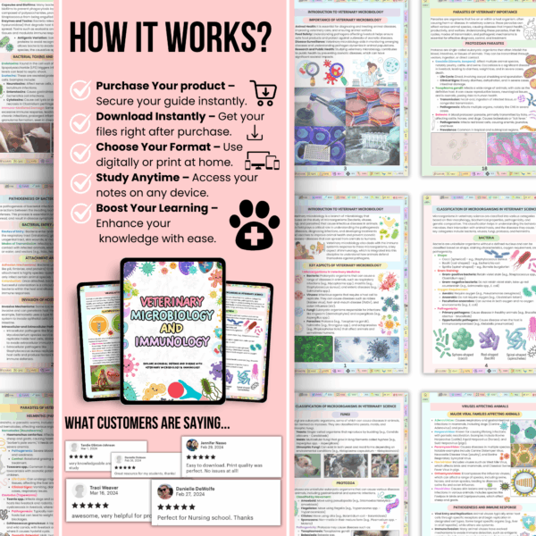Veterinary Microbiology Bundle Fully Hyperlinked, Bonus Stickers Cover & Quizzes, Updated 2025-26, Digital PDF, Study Guide, Nurse Notes - Image 3