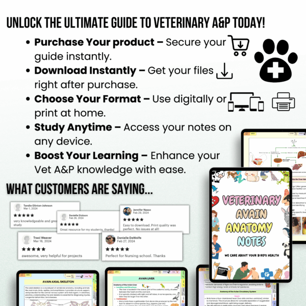 Veterinary Avian Anatomy Bundle Hyperlinked, Veterinary Nurse Study Guide, Bonus Stickers Cover & Quizzes, Veterinary Medical Student - Image 4