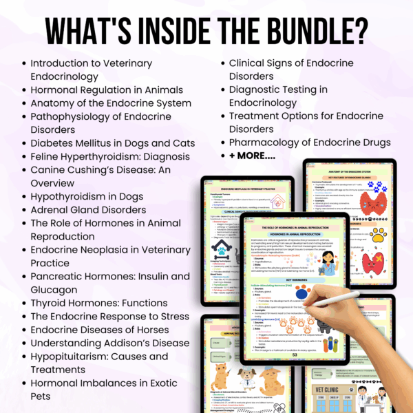 Veterinary Endocrinology Notes, Updated 2025-26, Endocrinology Sheet, Animal Physiology, Veterinary Digital Notes, Veterinary Study Guide - Image 2