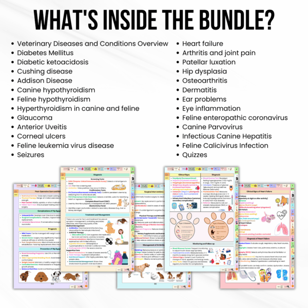 Veterinary Diseases and Conditions Bundle, Updated 2025-26, Animal Disease Study Guide, Veterinary Study, Veterinary Nurse, Vet Medical - Image 2