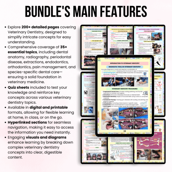 Veterinary Dentistry Notes Hyperlinked Bundle, Vet School Study Notes, UPDATED 2025-26, Vet Dentistry, Instant Download, Vet Dental Notes - Image 3