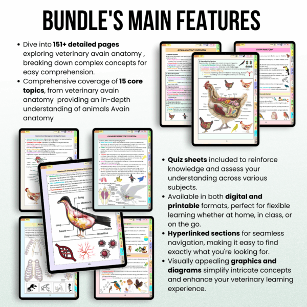 Veterinary Avian Anatomy Bundle Hyperlinked, Veterinary Nurse Study Guide, Bonus Stickers Cover & Quizzes, Veterinary Medical Student - Image 3