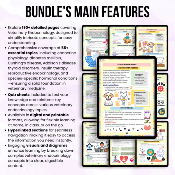 Veterinary Endocrinology Notes, Updated 2025-26, Endocrinology Sheet, Animal Physiology, Veterinary Digital Notes, Veterinary Study Guide - Image 3