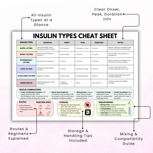 Insulin Types Cheat Sheet, Bonus Daily Diabetes Log, Insulin Study Guide, Insulin Management, Insulin Fact Sheet, Digital & Printable - Image 2