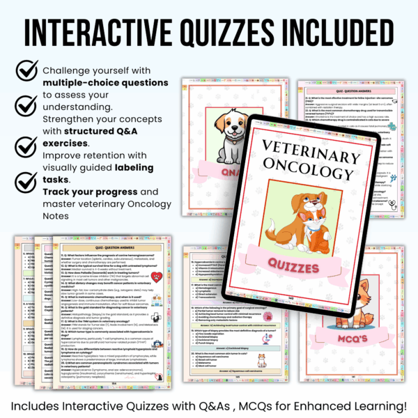 Veterinary Oncology Notes Hyperlinked Bundle, UPDATED 2025-26, Bonus Stickers Quizzes and Covers, Veterinary Education, Veterinary Medicine - Image 3