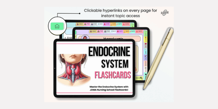 nursing school flashcards bundle