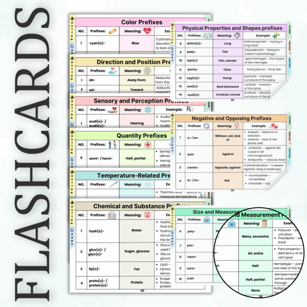 Medical Terminology Flashcards 118+ Cards, 5 Bonus Cover Pages, Bonus Terminology Sheets, Healthcare Flashcards, Healthcare Terminology - Image 2