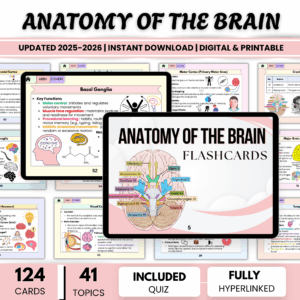 Anatomy Brain Flashcards Hyperlinked, Brain Anatomy Study, Anatomy and Physiology Study, Neuroanatomy Flashcards, Nursing School