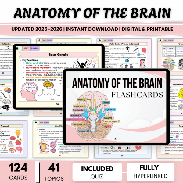Anatomy Brain Flashcards Hyperlinked, Brain Anatomy Study, Anatomy and Physiology Study, Neuroanatomy Flashcards, Nursing School